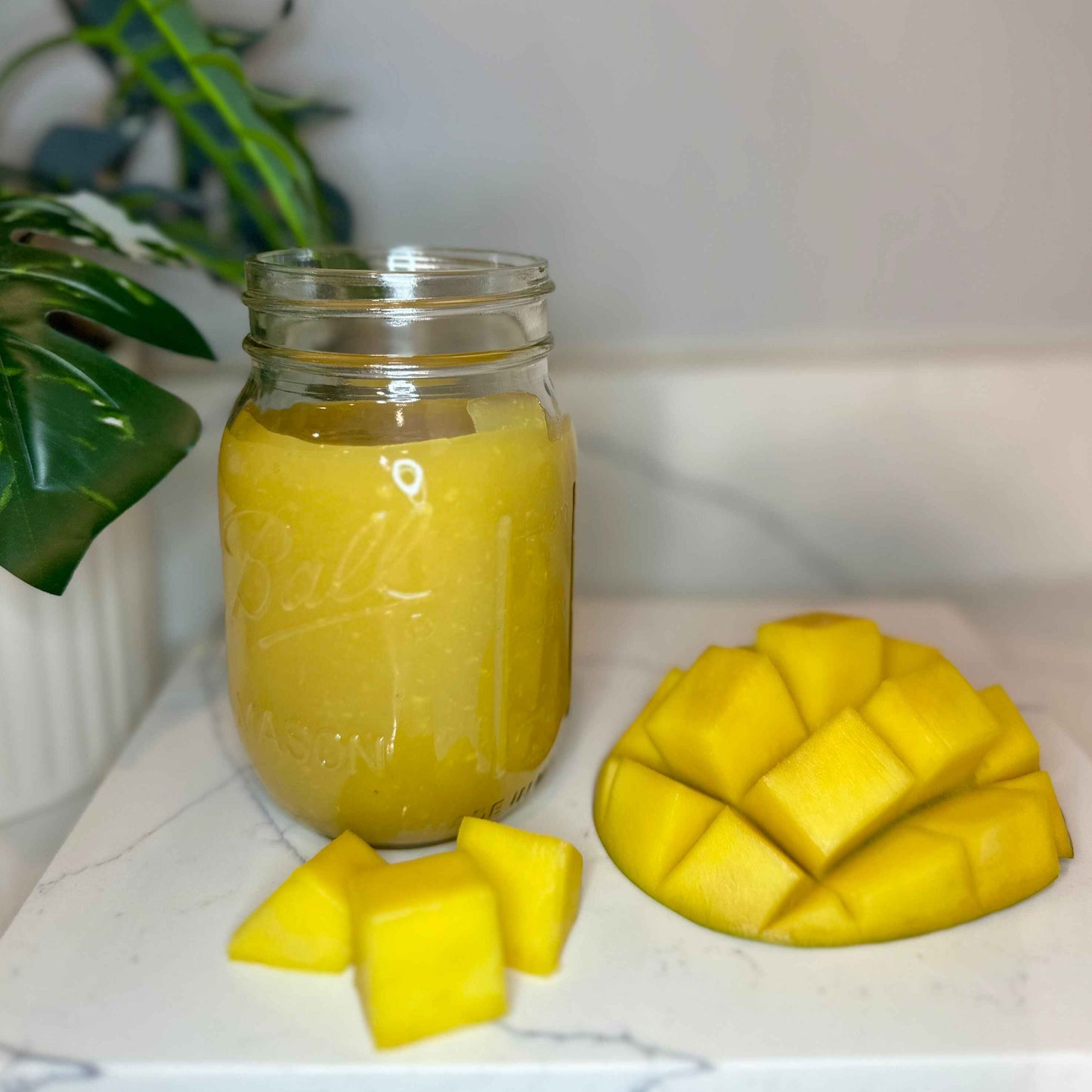 Sea Moss (Mango) [16 oz]