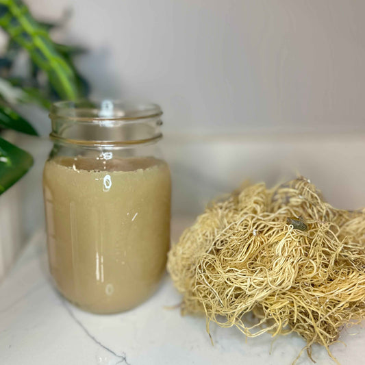 Sea Moss (Plain) [16 oz]